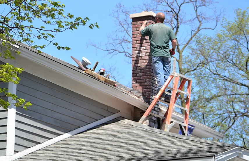 Chimney & Fireplace Inspections Services in Seaford, NY